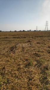 Image of 1900 Sq.ft Residential Plot / Land for sale in Guntupalli, Vijayawada for Rs. 6000000