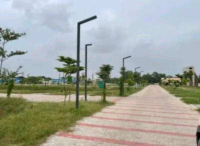 JMS The Pride Plot View 3