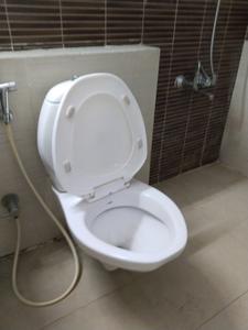 Common Bathroom Image of 1900 Sq.ft 3 BHK Apartment / Flat for sale in Rustomjee Oriana, Bandra East Mumbai for Rs. 105000000