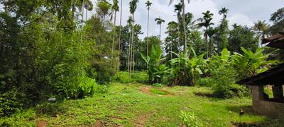 Image of 1942 Sq.ft Residential Plot / Land for sale in Irinjalakuda, Thrissur for Rs. 7680000