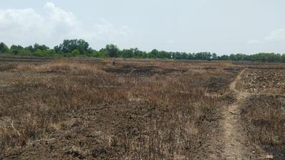 Image of 1089 Sq.ft Residential Plot / Land for sale in Hamarapur, Raigad for Rs. 255000