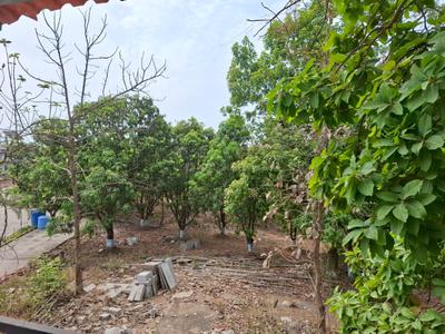 Image of 3229 Sq.ft Residential Plot / Land for sale in Olympeo Retreat Phase 2, Boriwali, Thane for Rs. 4800000