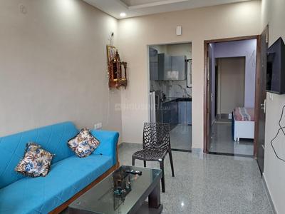 Hall Image of 900 Sq.ft 1 BHK Builder Floor for rent in Sector 40 Gurgaon for Rs. 26000