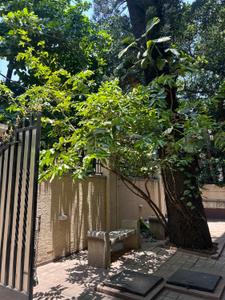 Image of 2800 Sq.ft 4 BHK Penthouse for sale in Ashed Regency Hamsa, Cooke Town, Bengaluru for Rs. 60000000