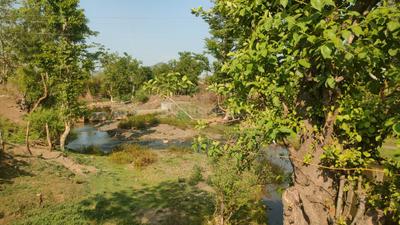 Image of 6000 Sq.ft Residential Plot / Land for sale in Gajinda, Indore for Rs. 2500000