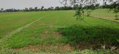 Image of 23000 Sq.ft Residential Plot / Land for sale in Naubatpur, Patna for Rs. 25500000