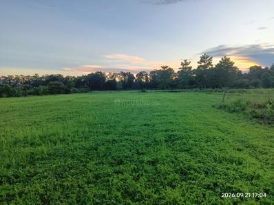 Image of 14400 Sq.ft Residential Plot / Land for sale in Ram Nagar, Dhemaji for Rs. 889999