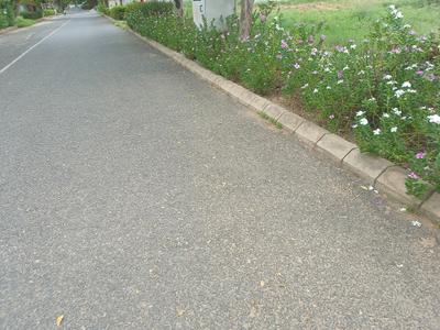 Image of 260 Sq.ft Residential Plot / Land for sale in Vatika India Next, Sector 82, Gurgaon for Rs. 56760000