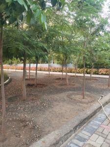 Image of 1210 Sq.ft Residential Plot / Land for sale in Mihan, Nagpur for Rs. 4277000