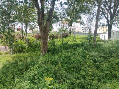 Residential Plot