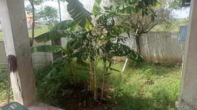 Balcony Image of 2185 Sq.ft 2 BHK Independent House for sale in Thirunagar Madurai for Rs. 6500000