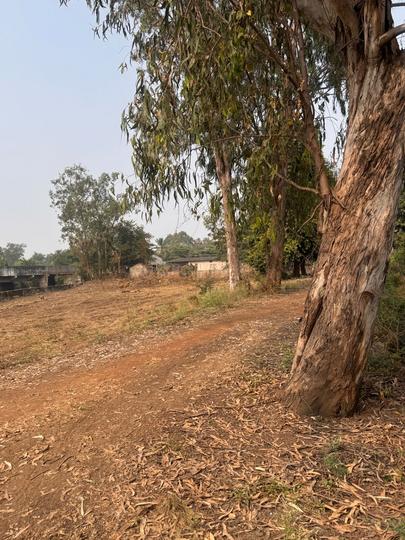 Junwani, Smriti Nagar Main Image 1