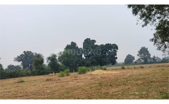 Narmada River Front Main Image 1