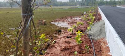 Image of 600 Sq.ft Residential Plot / Land for sale in Koovathur, Chennai for Rs. 800000