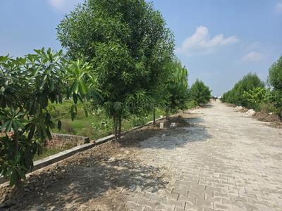 Image of 1350 Sq.ft Residential Plot / Land for sale in Jait, Vrindavan for Rs. 2700000