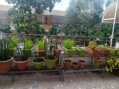 Balcony Image of 1500 Sq.ft 3 BHK Apartment / Flat for rent in Dharampeth Nagpur for Rs. 35000