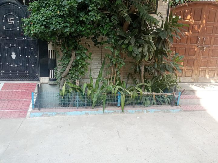 Image of 900 Sq.ft 3 BHK Independent House for sale in Najafgarh, New Delhi for Rs. 7500000