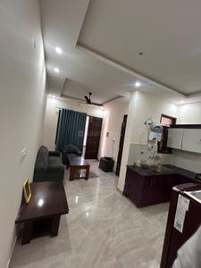 Living Room Image of 550 Sq.ft 1 BHK Apartment / Flat for rent in Divine World, Sector 115 Mohali for Rs. 15000