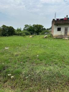 Image of 1000 Sq.ft Residential Plot / Land for sale in Karanodai, Chennai for Rs. 2500000