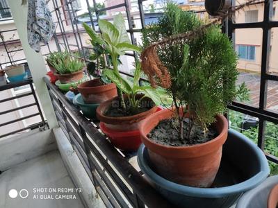 Balcony Image of 950 Sq.ft 2 BHK Builder Floor for sale in Kalikapur Kolkata for Rs. 5400000