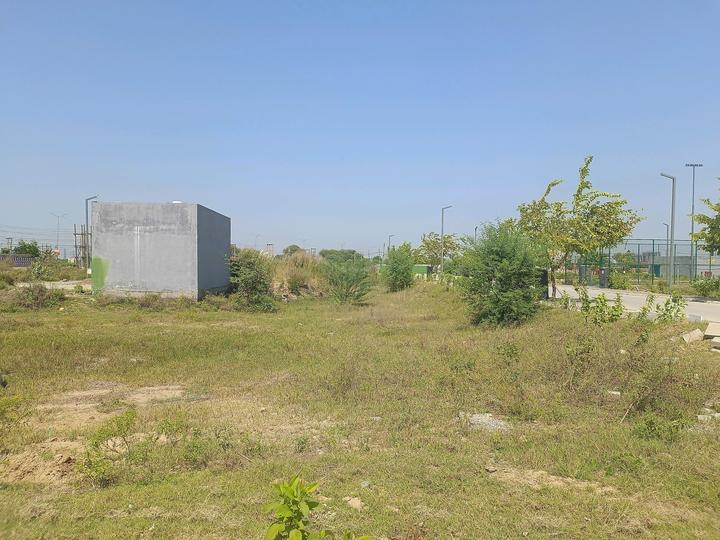 Adani Oyster Greens Main Image 1