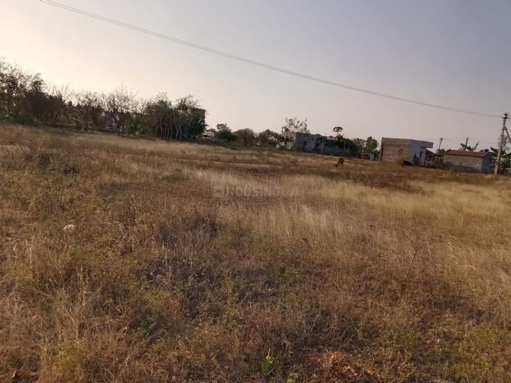 Avinashi Taluk Main Image 1