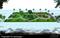 Jhalaria near phoenix citadel Mall Plot View 2