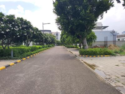 Image of 693 Sq.ft Residential Plot / Land for sale in DLF Alameda, Sector 71, Gurgaon for Rs. 207900000