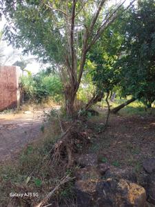Mangaon Plot View 2