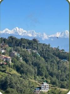 Image of 3300 Sq.ft 3 BHK Villa for sale in Kasauli, Solan for Rs. 27300000
