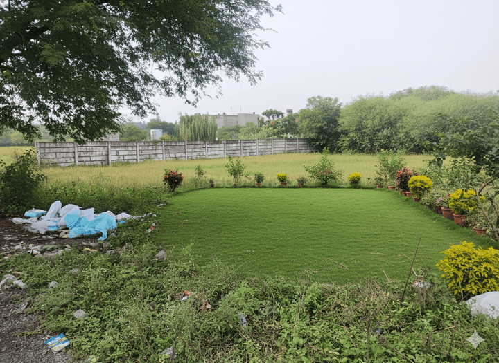 Amleshwar Main Image 1