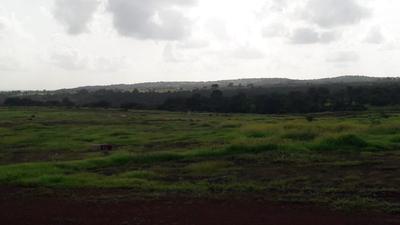 Image of 3012 Sq.ft Residential Plot / Land for sale in Kankavli, Sindhudurg for Rs. 1700000