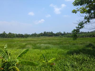 Residential Plot