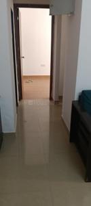 Hall Image of 585 Sq.ft 1 BHK Apartment / Flat for rent in DB Ozone, Dahisar East Mumbai for Rs. 23000
