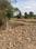 Cantt Plot View 2