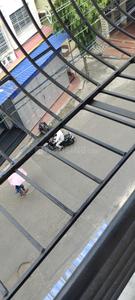 Balcony Image of 6000 Sq.ft 9 BHK Independent House for sale in Kalikapur, EM Bypass Kolkata for Rs. 28500000