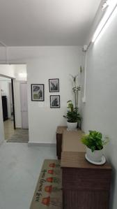 Hall Image of 560 Sq.ft 1 BHK Apartment / Flat for rent in Rajat Rashmi Apartment, Koregaon Park Pune for Rs. 32000