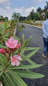 Image of 1200 Sq.ft Residential Plot / Land for sale in Bannerughatta, Bengaluru for Rs. 1200000