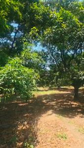 Image of 15828 Sq.ft Residential Plot / Land for sale in Garh Mukteshwar, Hapur for Rs. 40000000