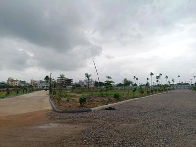 Residential Plot
