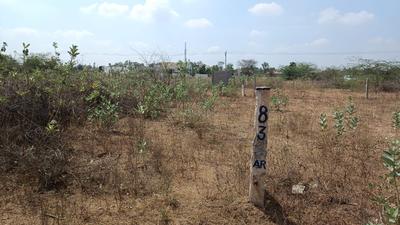 Residential Plot