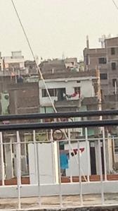 Balcony Image of 1400 Sq.ft 3 BHK Independent House for rent in Bankman Colony Patna for Rs. 8000