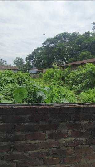 Jyotikuchi Main Image 1