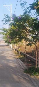 Image of 1864 Sq.ft Residential Plot / Land for sale in Bhilai Marshalling Yard, Charoda for Rs. 2982600