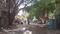 Velachery Main Image 1