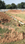 Kathal More Plot View 2