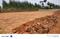 GOOGLE Plot View 2