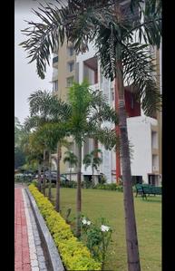 Image of 2300 Sq.ft 3 BHK Apartment / Flat for rent in MP Kilandev Towers, Shivaji Nagar, Bhopal for Rs. 45000