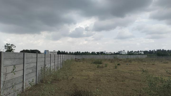 Kalapatti Main Image 1