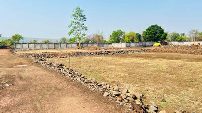 Colony Plot View 1